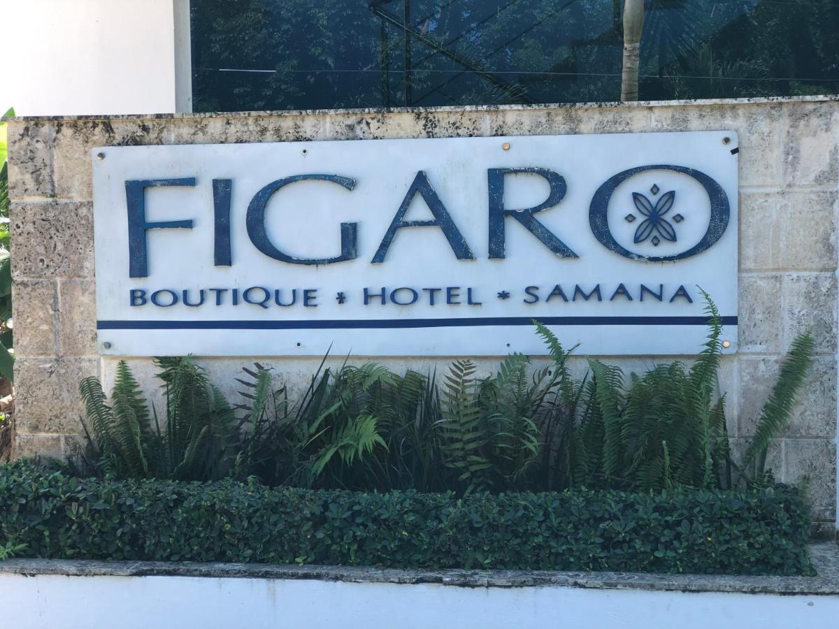 Figaro Hotel Samana Exteriör bild
